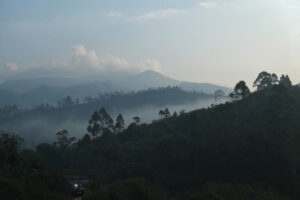 Munnar02