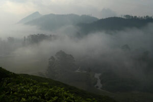 Munnar03