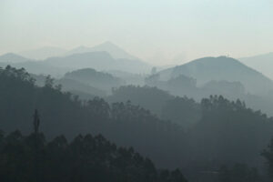 Munnar04