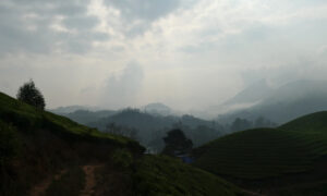 Munnar09