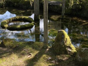 IMG_2172
