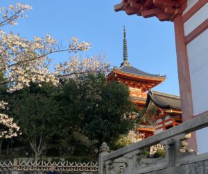 IMG_2445b