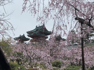 IMG_2560