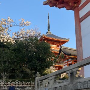 IMG_E2445