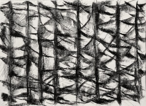 Skog